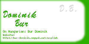 dominik bur business card